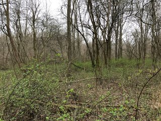 Property photo 27 - LAND AUCTION - 156.63+/- ACRES OFFERED IN 7 TRACTS IN ALLEN COUNTY, INDIANA